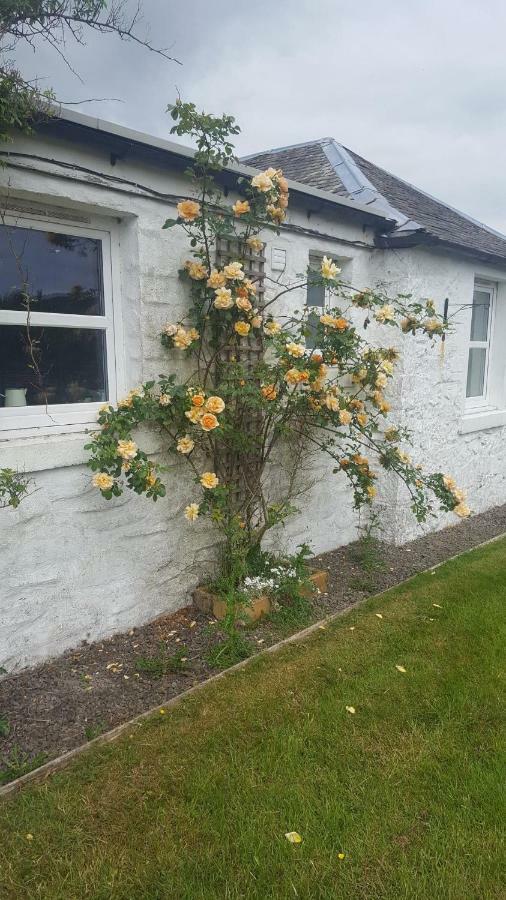 Barcloy Honey House Villa Kirkcudbright Kültér fotó