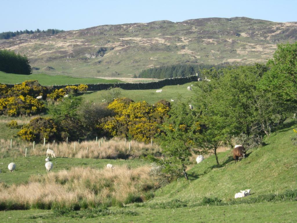 Barcloy Honey House Villa Kirkcudbright Kültér fotó